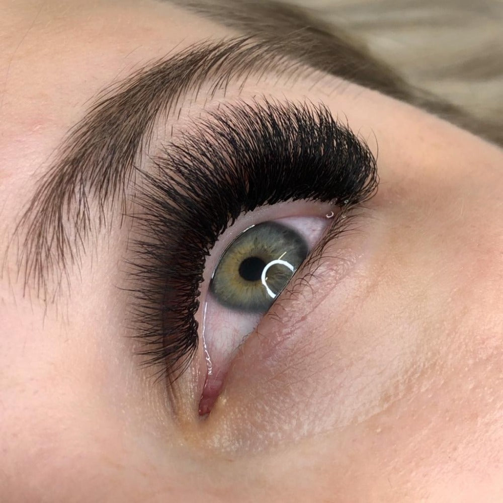 Training 2-3D & Russian Volume VIP